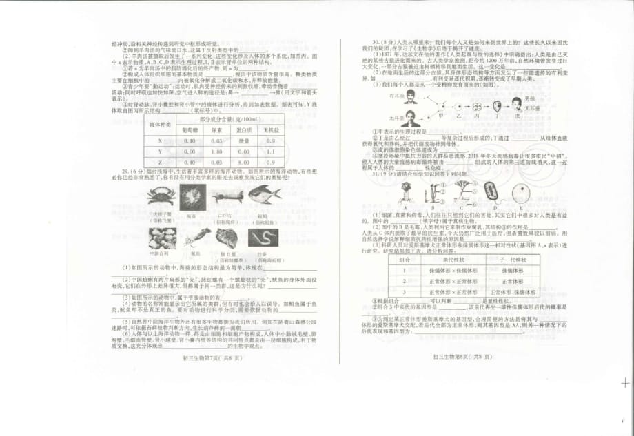 山东省海阳市（五四制）2018-2019学年八年级下学期学业水平模拟生物试题（图片版无答案）_10462645.pdf_第4页