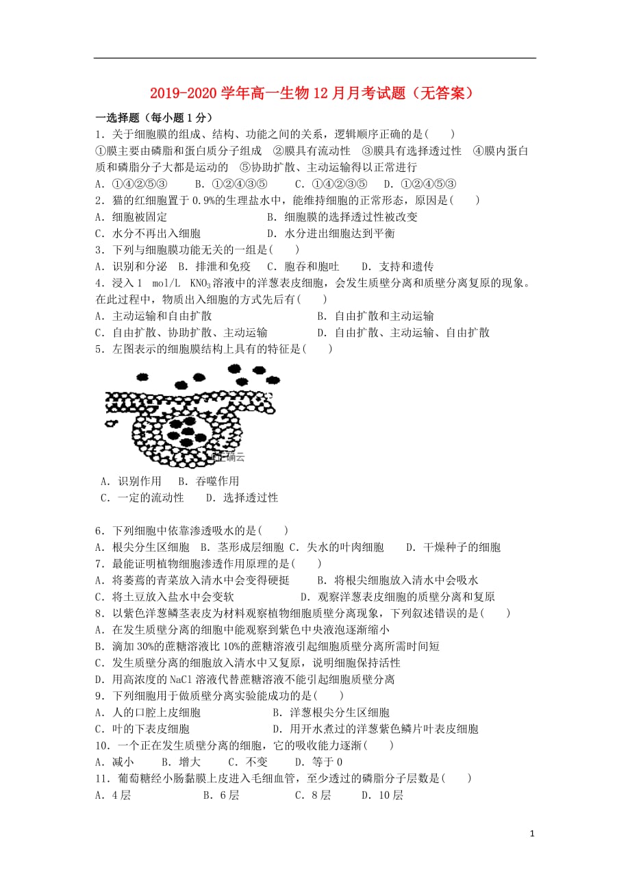 2019_2020学年高一生物12月月考试题（无答案）_第1页