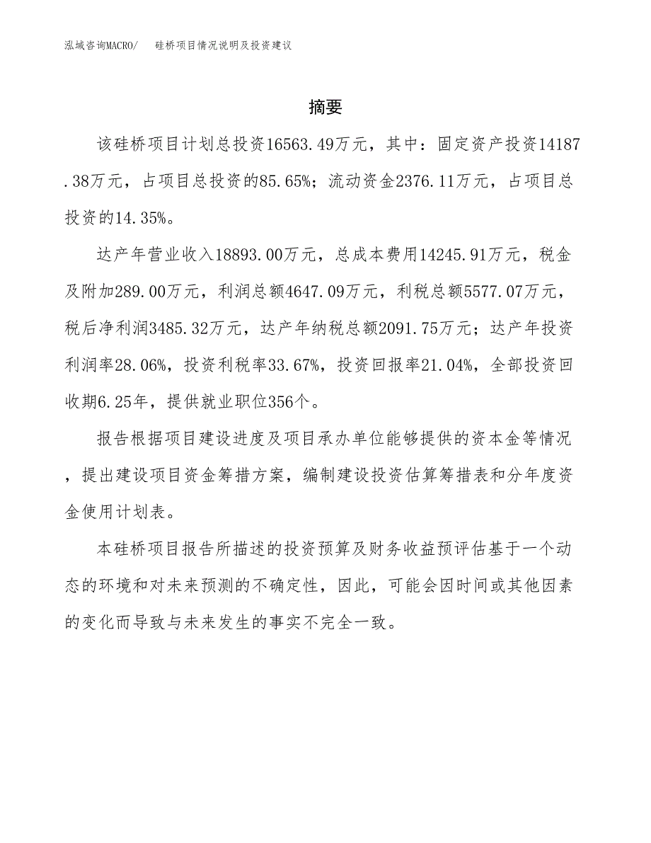 硅桥项目情况说明及投资建议.docx_第2页