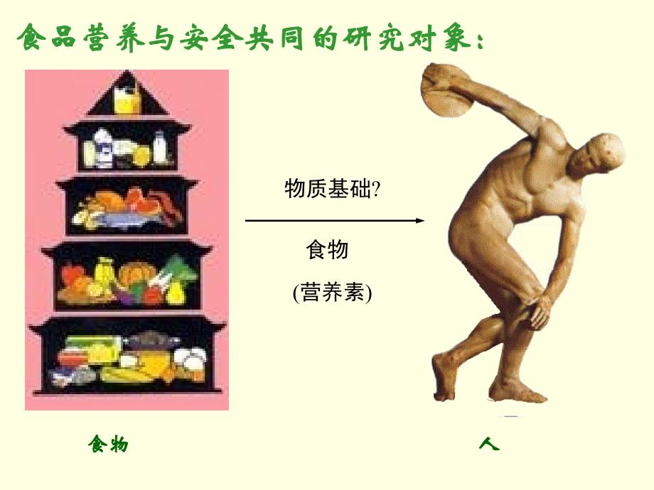 营养生理基础和能量平衡_第3页