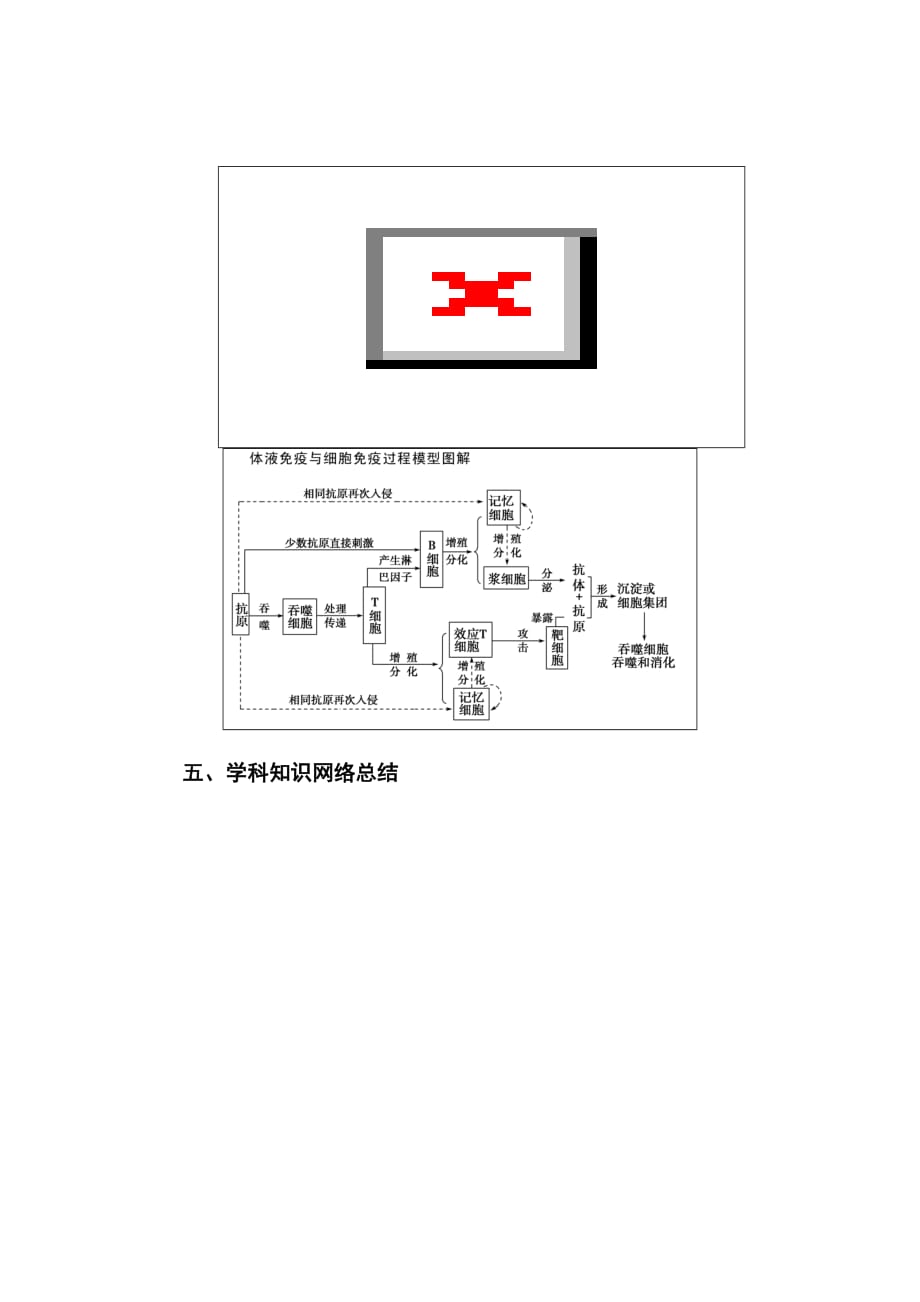 新高考生物总复习练习汇编---学科知识网络构建Word版含解析_第2页