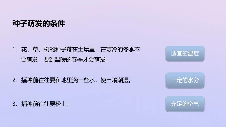 八年级生物上册第四单元物种的延续第一章绿色开花植物的一生第四节种子的萌发课件新版济南版2019120515_第4页