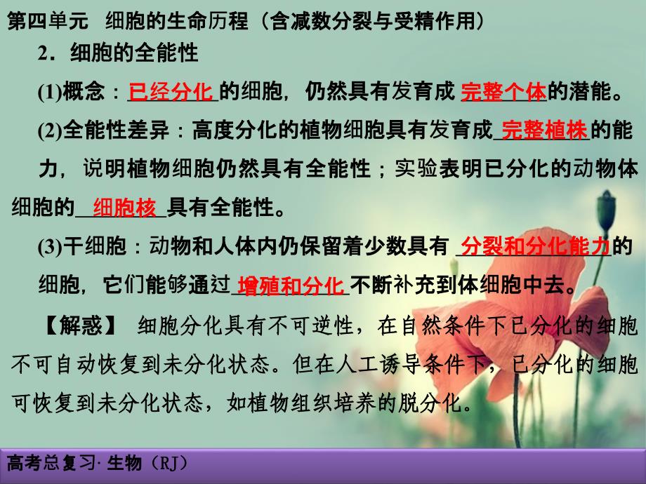 《创新导学案》生物大一轮复习细胞分化衰老凋亡和癌变_第4页