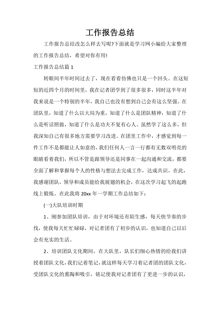 工作报告 工作报告总结_第1页