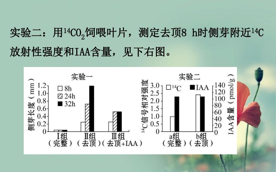 高考生物一轮总复习实验答题模板系列_第4页