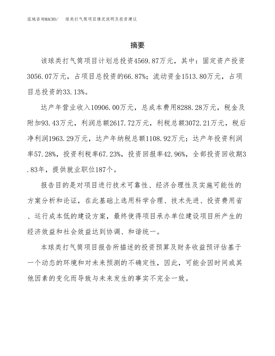 球类打气筒项目情况说明及投资建议.docx_第2页