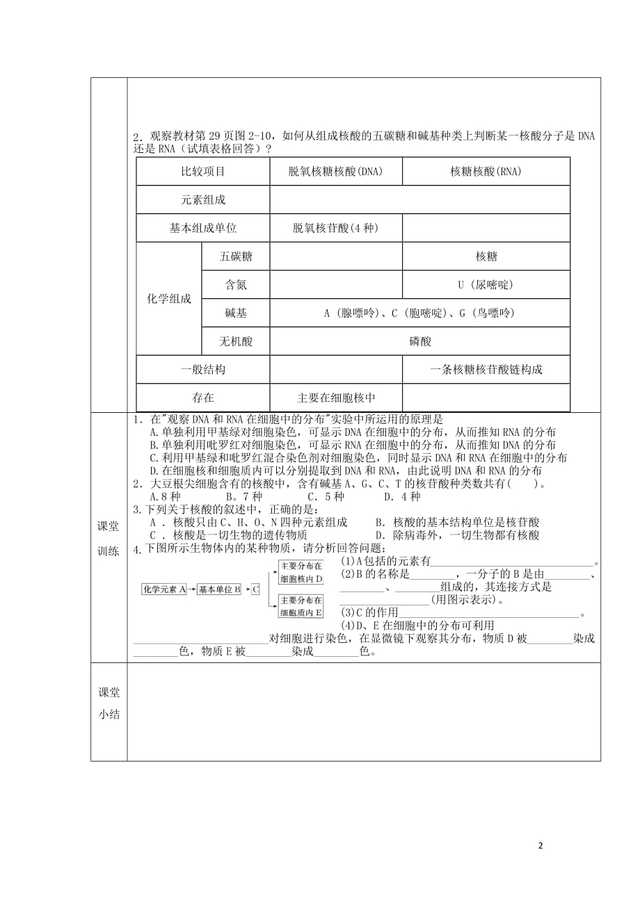 新疆阿克苏地区温宿县高中生物第2章组成细胞的分子第3节遗传信息的携带者——核酸导学案（无答案）新人教版必修1_第2页