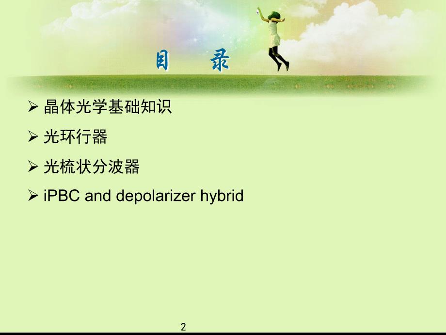 基于晶体微光学器件环行器INTIPBCD_第2页