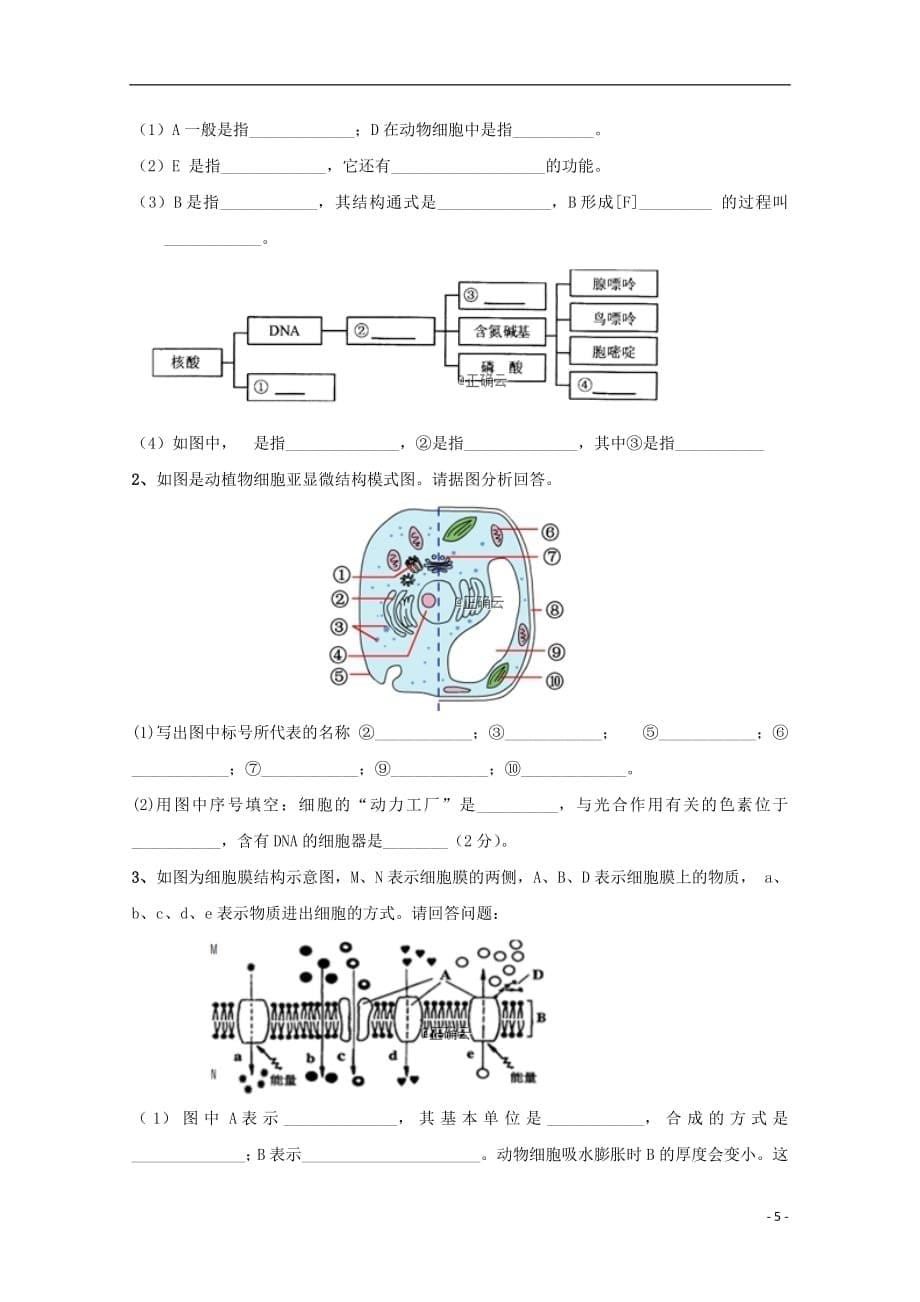 西藏2018_2019学年高一生物上学期期末考试试题_第5页