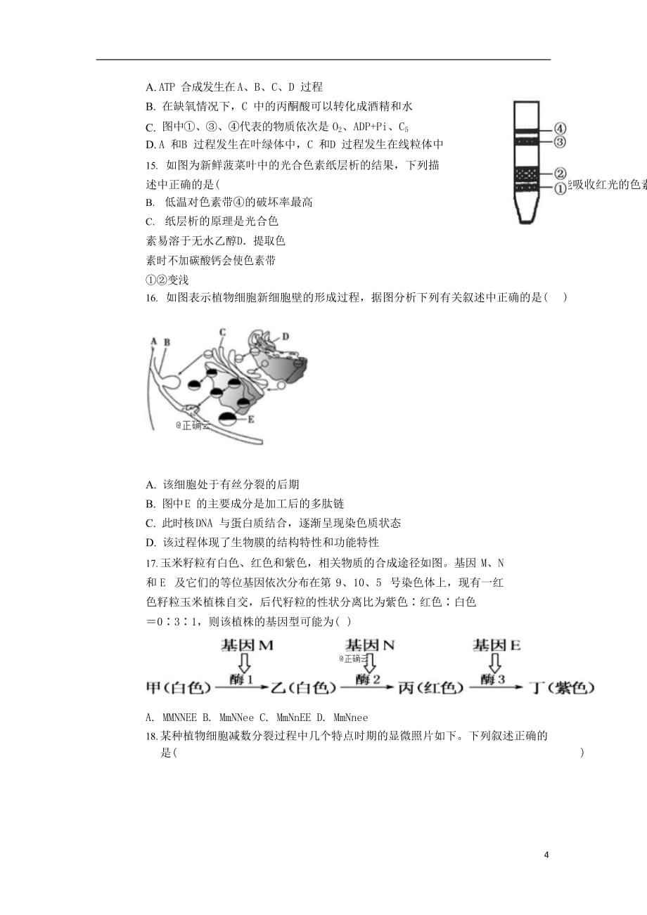 广西桂林市逸仙中学2020届高三生物上学期第四次双周考试题_第4页