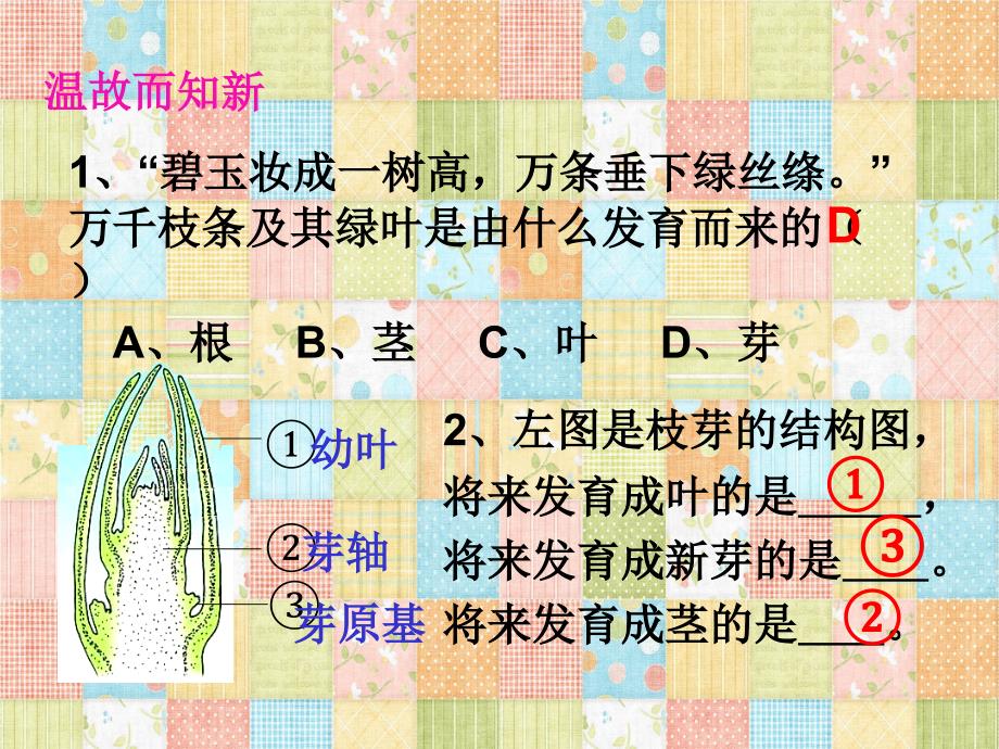 七年级生物上册植物茎输导功能苏教版_第2页