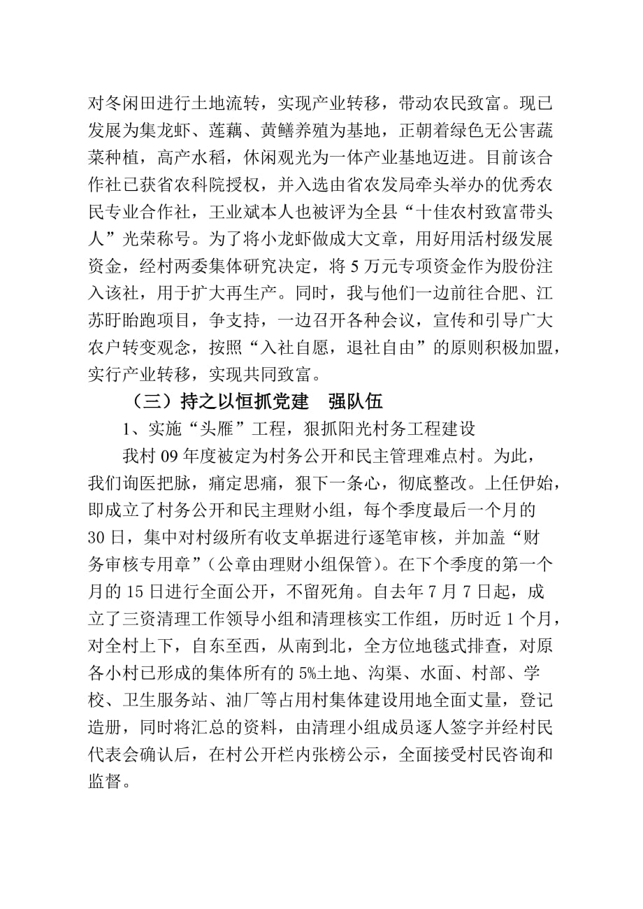 （人力资源知识）雷池乡雷江村党总支第一书记述职报告()_第2页