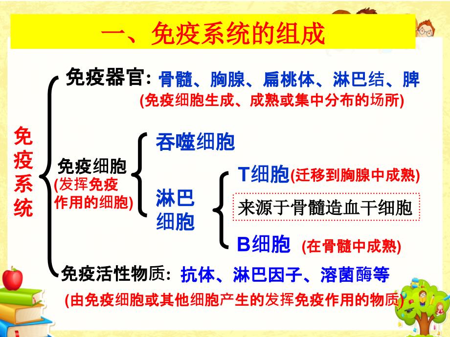 高考复习免疫高效调节_第3页