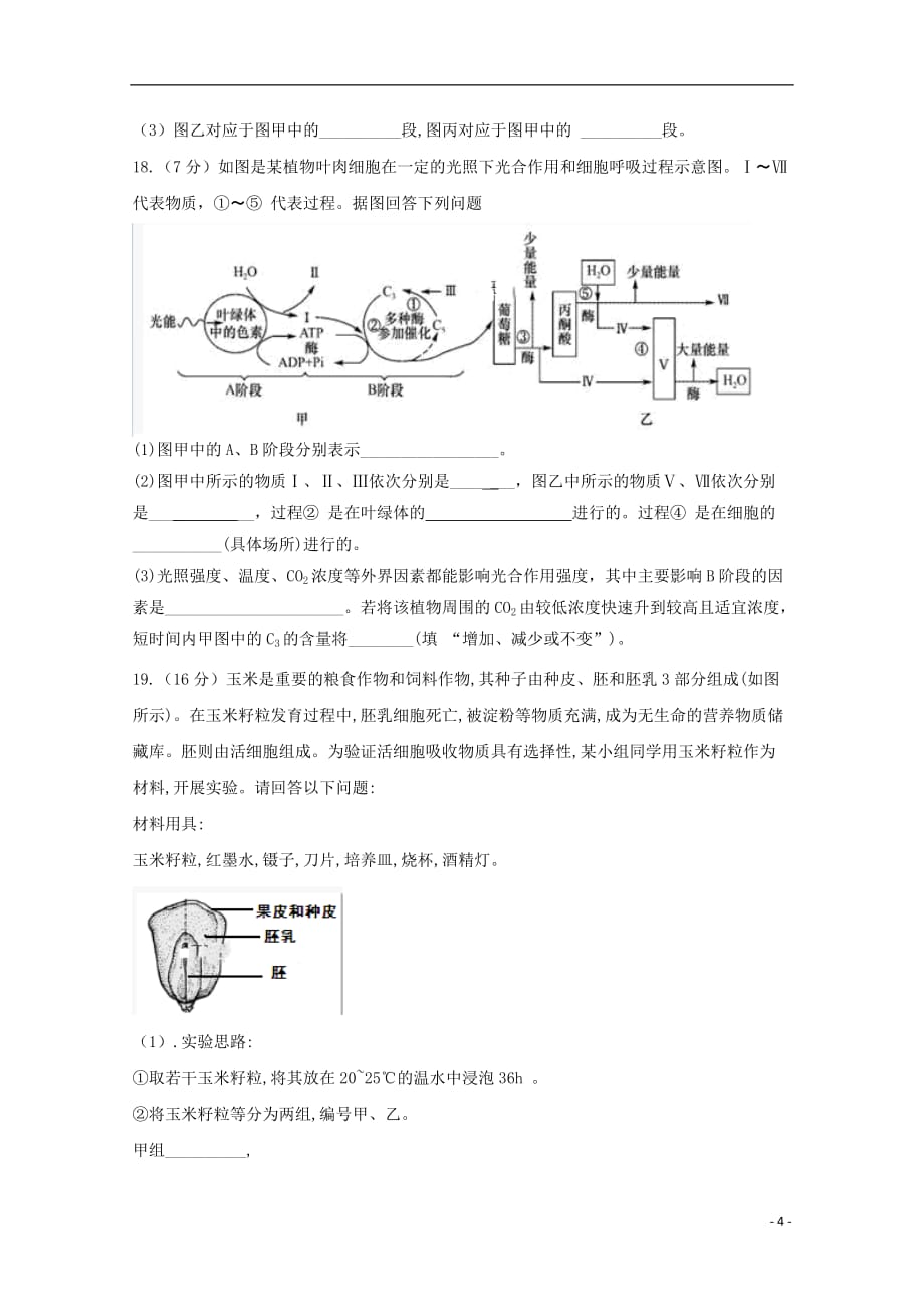 四川省泸州市2019_2020学年高一生物上学期期末模拟考试试题202001030252_第4页