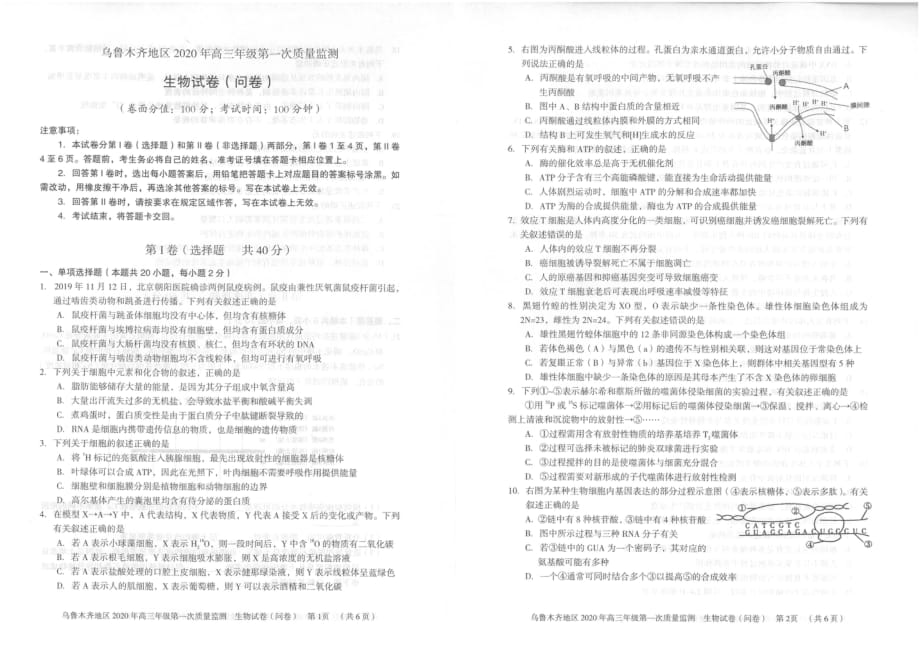 新疆乌鲁木齐市2020届高三上学期第一次质量监测生物试题_第1页