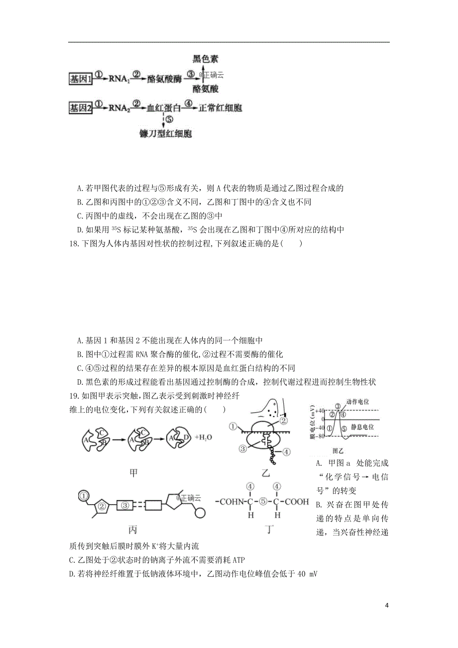 辽宁曙城市第一中学2020届高三生物12月月考试题201912190372_第4页