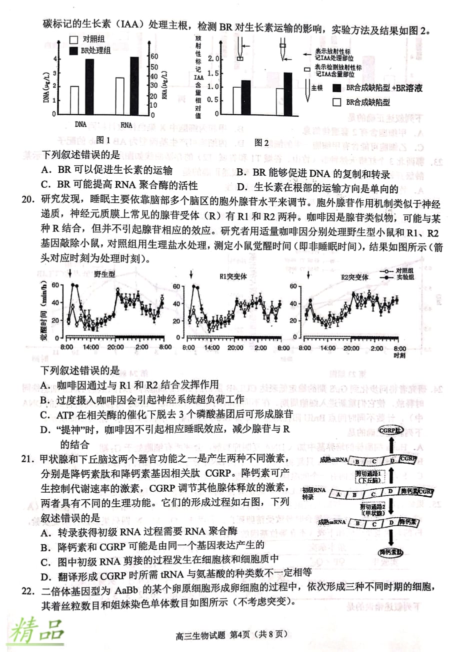 浙江省“七彩阳光”2020届新高考研究联盟高三生物12月适应性考试试题_第4页