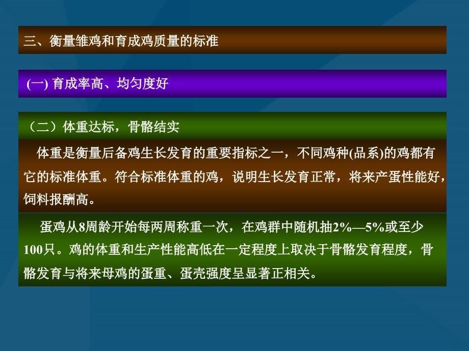 蛋用雏鸡育成鸡的饲养管理_第5页