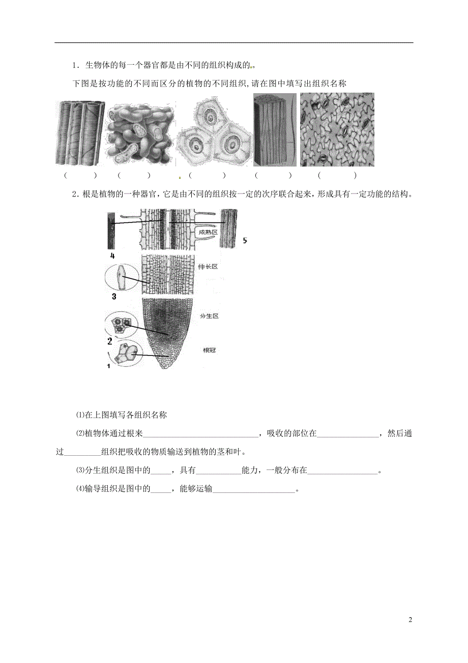 江苏省如皋市七年级生物下册第9章生物体有相似的结构层次导学案（无答案）苏科版_第2页