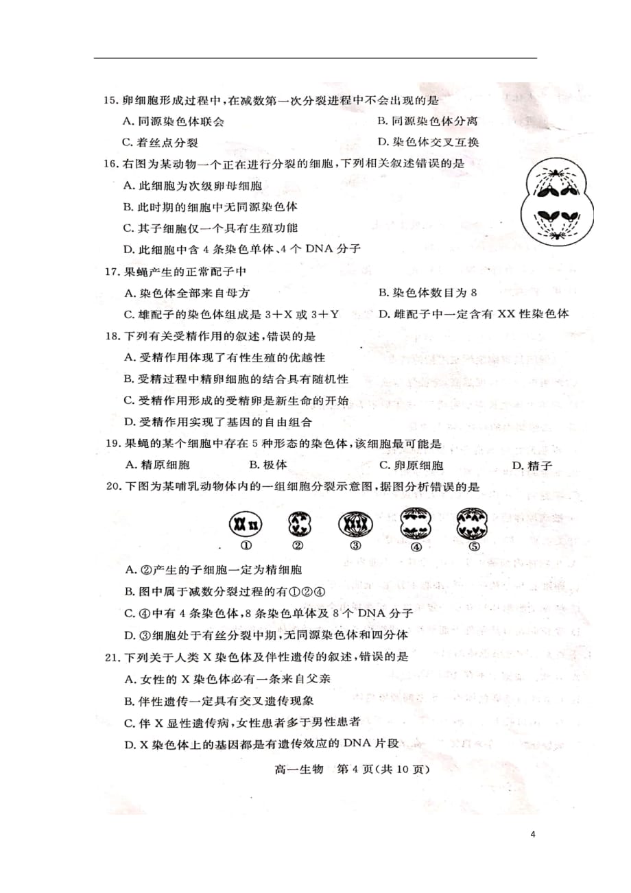 河北省邯郸市2018-2019学年高一生物下学期期中试题（扫描版）_第4页