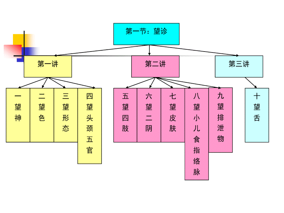 中医学基础第八章诊法___第三讲___望舌_第2页