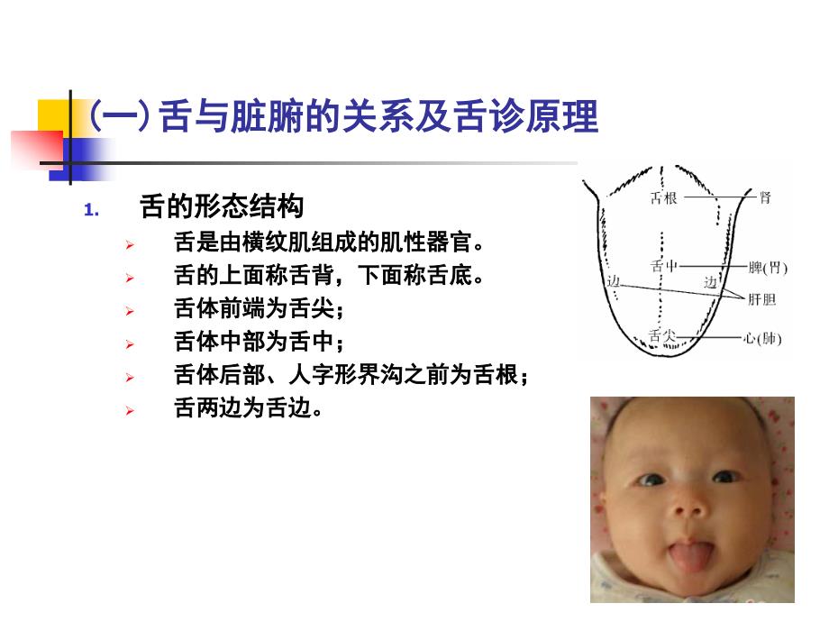 中医学基础第八章诊法___第三讲___望舌_第4页