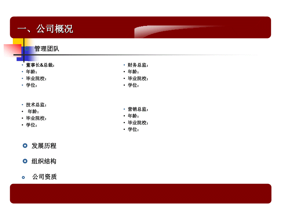 某企业商业实施计划书(范例)_第4页