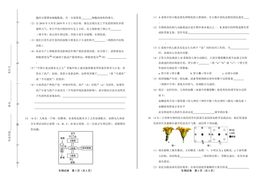 2019年湖北省黄冈中考生物试卷-答案解析_第3页