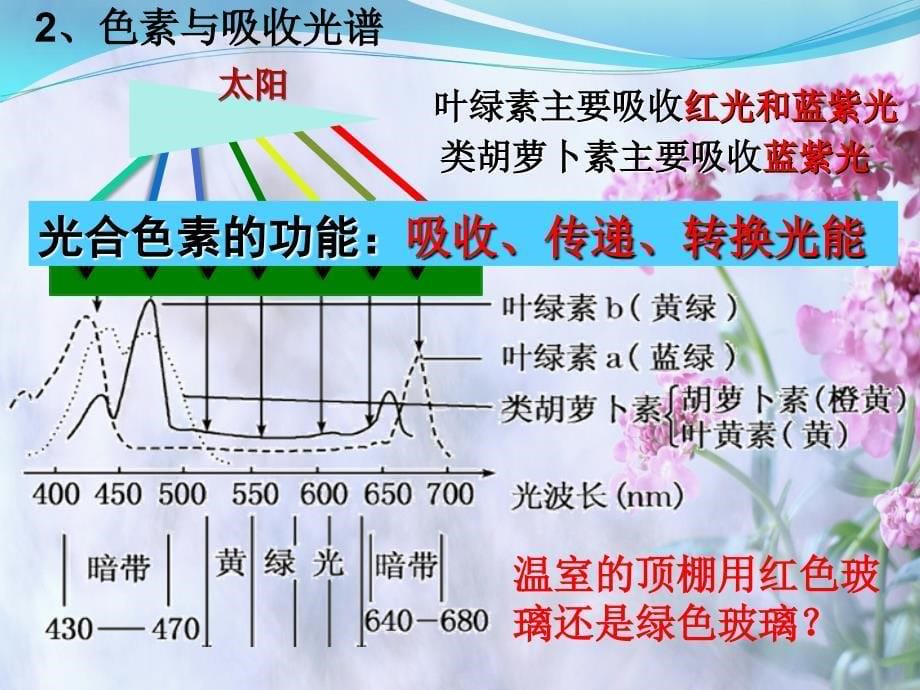 能量之源—光和光合作用公开课_第5页