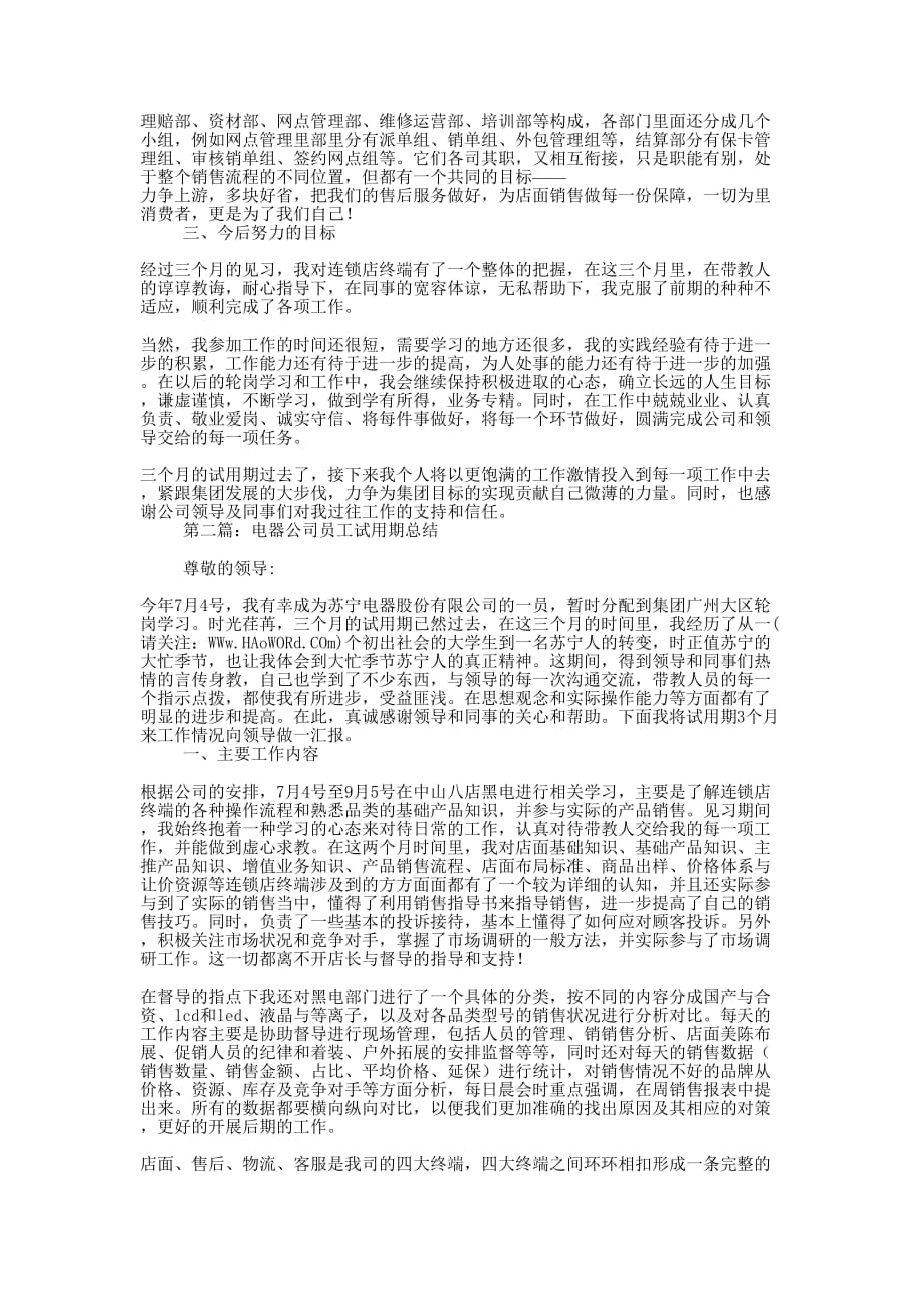 电器公司员工试用期总结(精选 多篇)_第2页