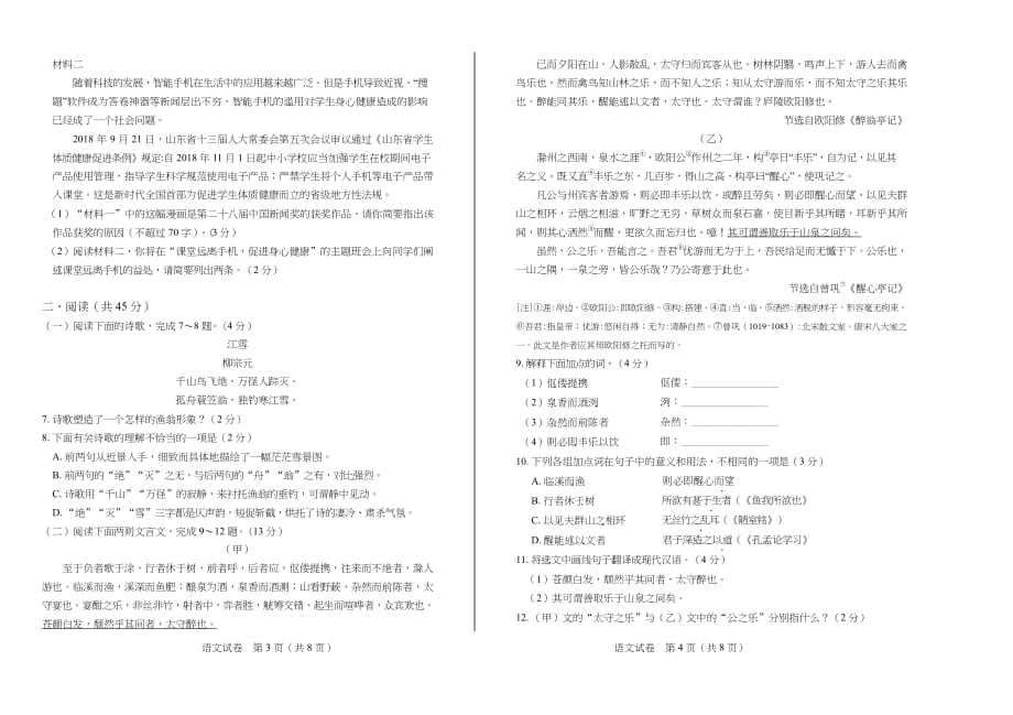 2019年山东省枣庄市中考语文试卷含答案_第2页