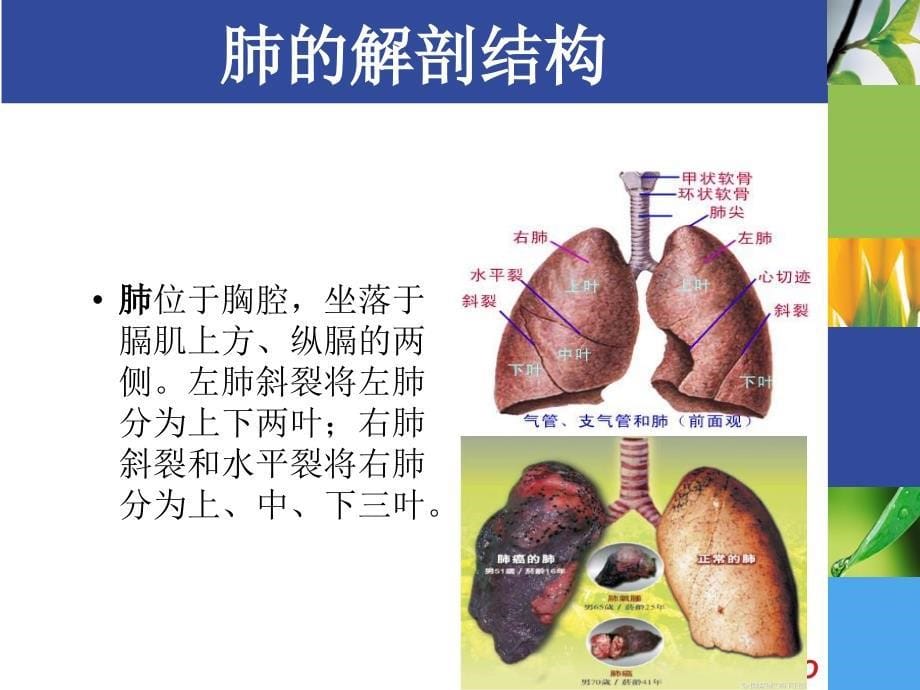 肺癌的护理_查房_第5页