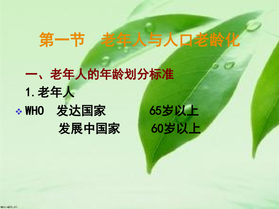 老年护理_学(全套课件296P_第4页