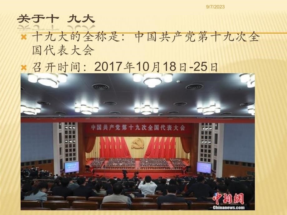 学习宪法__做文明小学生_第5页