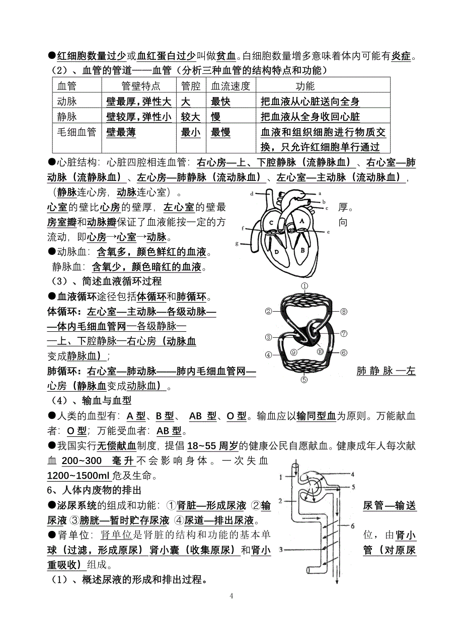 北师大版初中生物中考复习大全_第4页