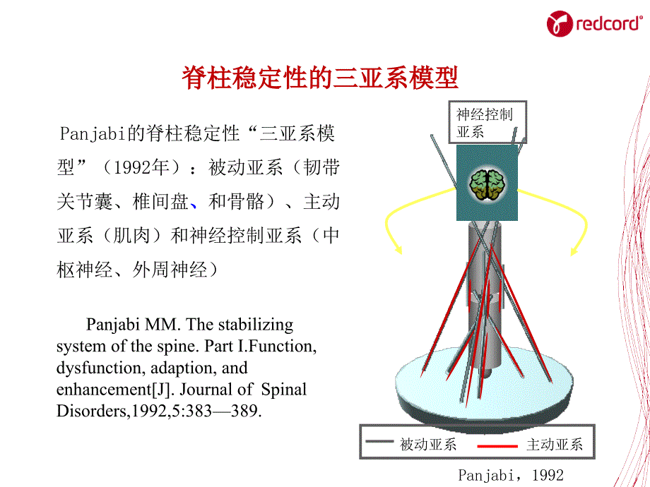 《SET训练核心肌力》课件脊柱稳定性原理_第4页