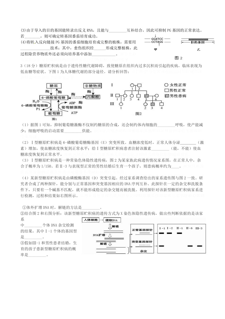 天津市高三生物第四次月考试题.doc_第4页