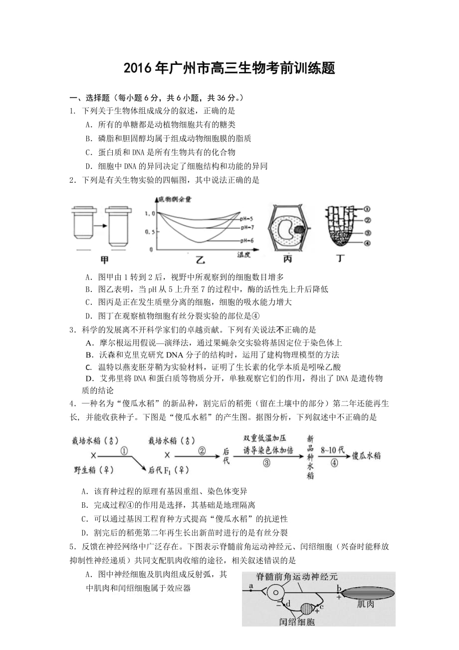 广东省广州市年高考备考冲刺训练生物试题 Word版含答案.docx_第1页