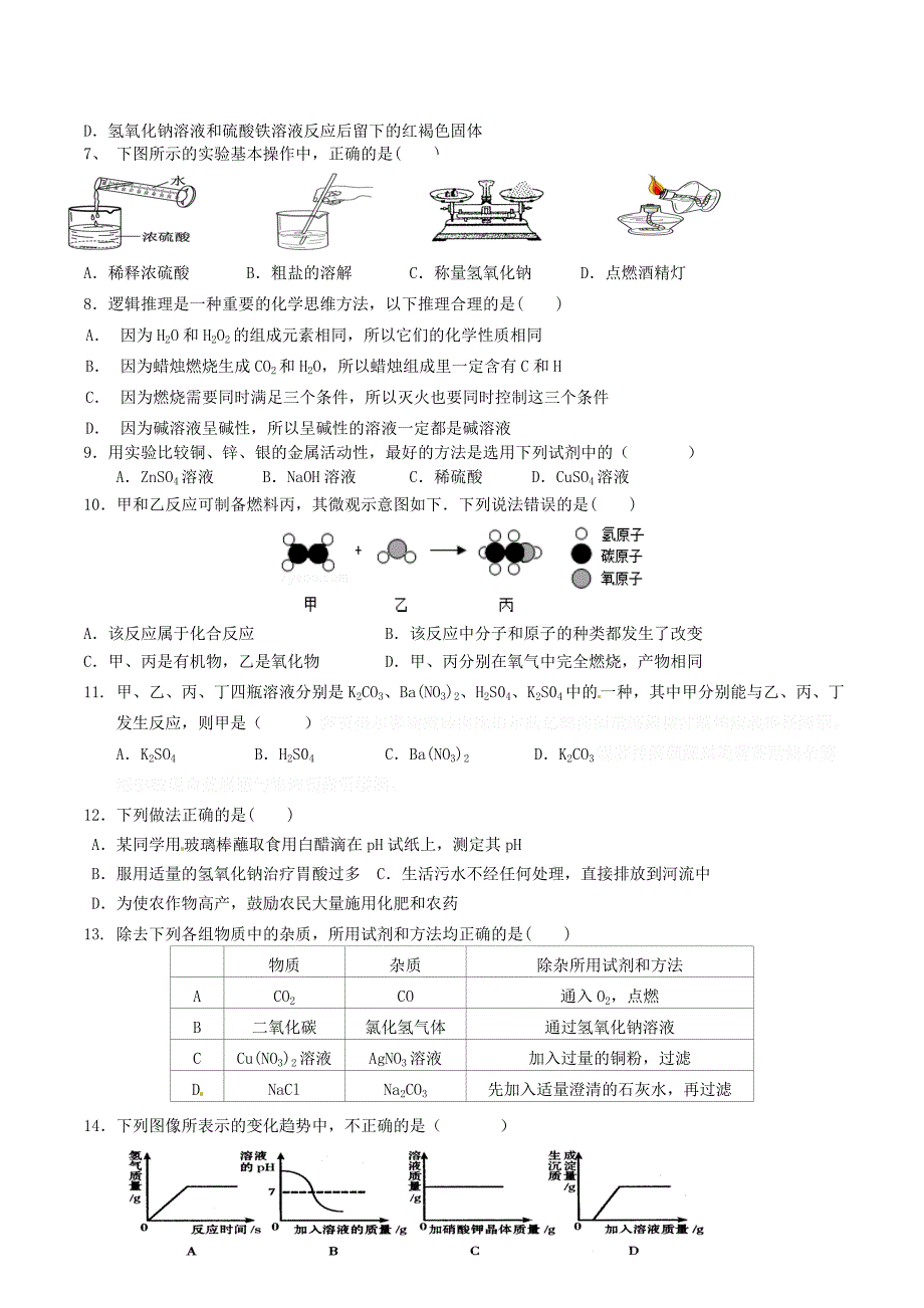 广东省韶关市始兴县墨江中学九年级化学下学期模拟考试试题（二）.doc_第2页