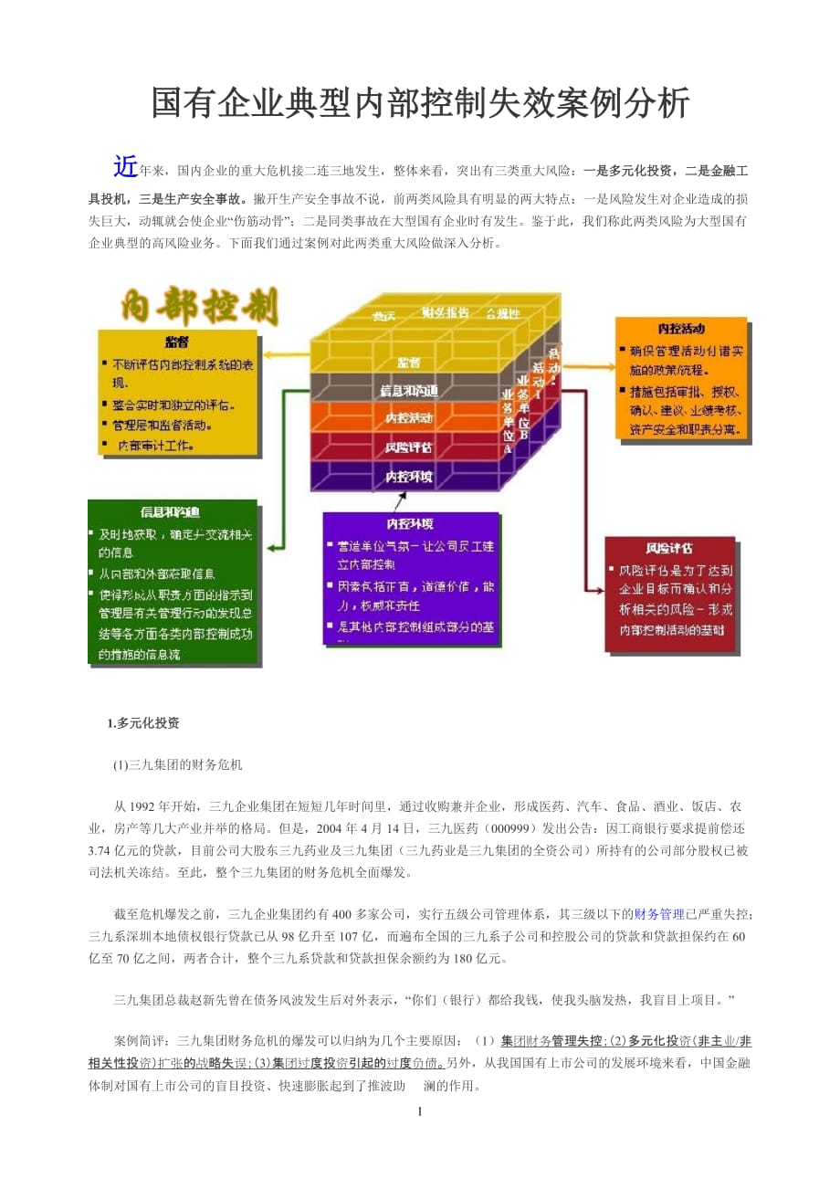 （财务内部管控）内部控制失效案例分析_第1页