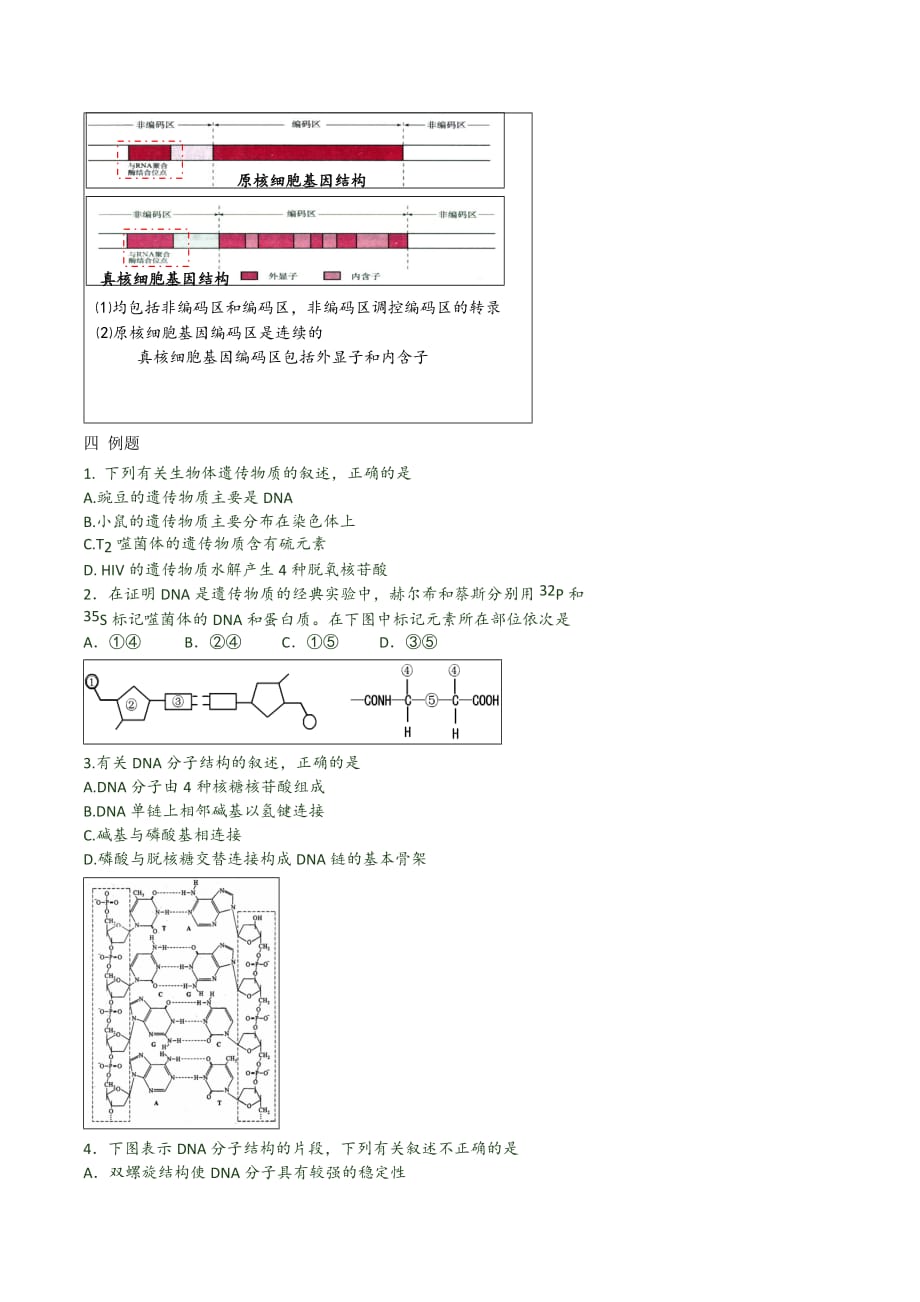 北京市第四中学高考生物总复习例题讲解：核酸的结构和基因 .doc_第2页