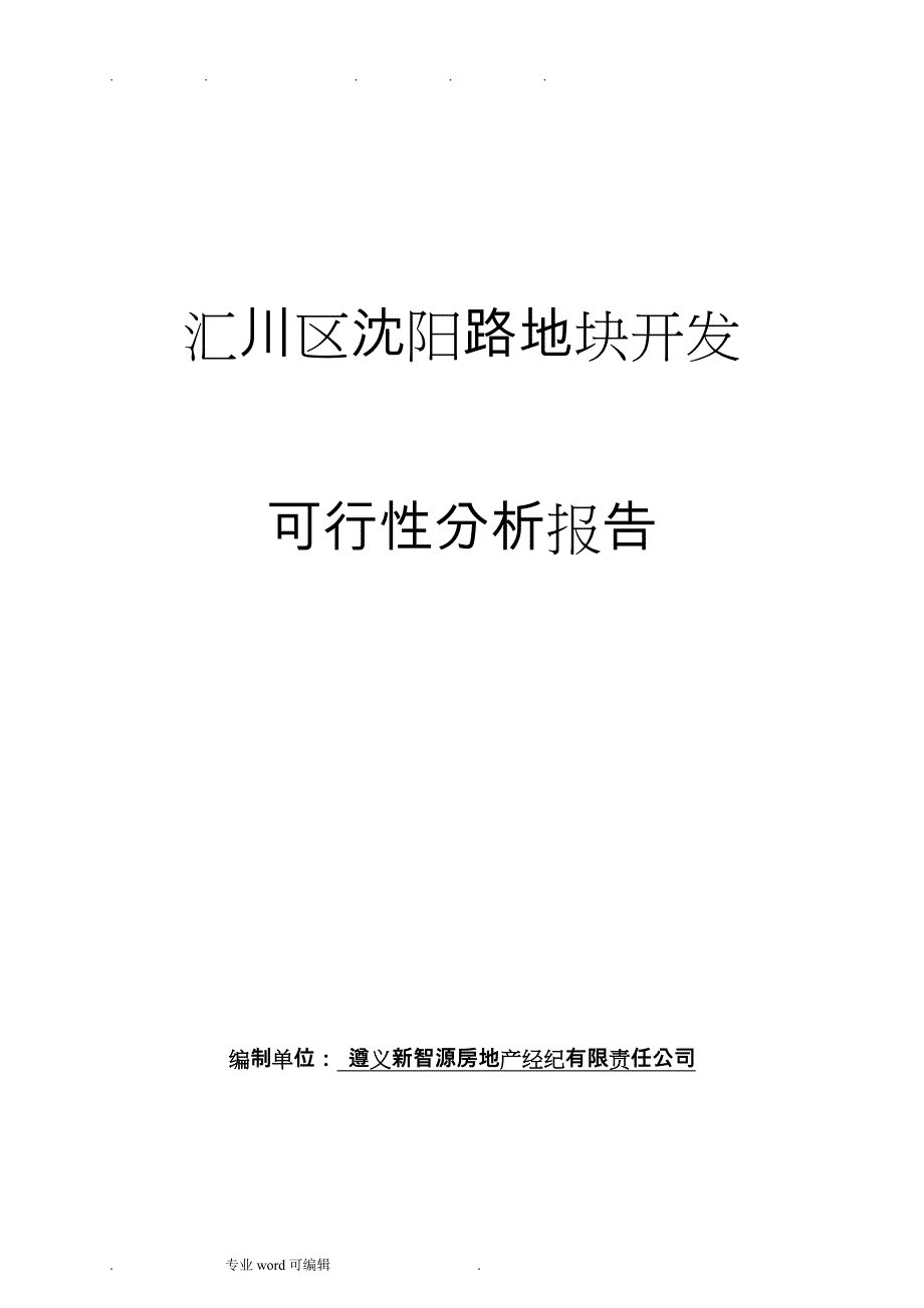 某某地块开发分析报告文案_第1页