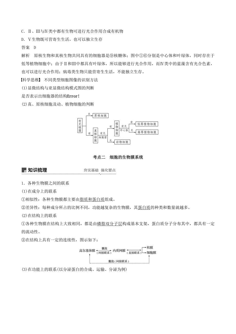 （江苏专用）高考生物新导学大一轮复习第二单元细胞的结构和功能第6讲细胞器与生物膜讲义（含解析）苏教版.doc_第5页