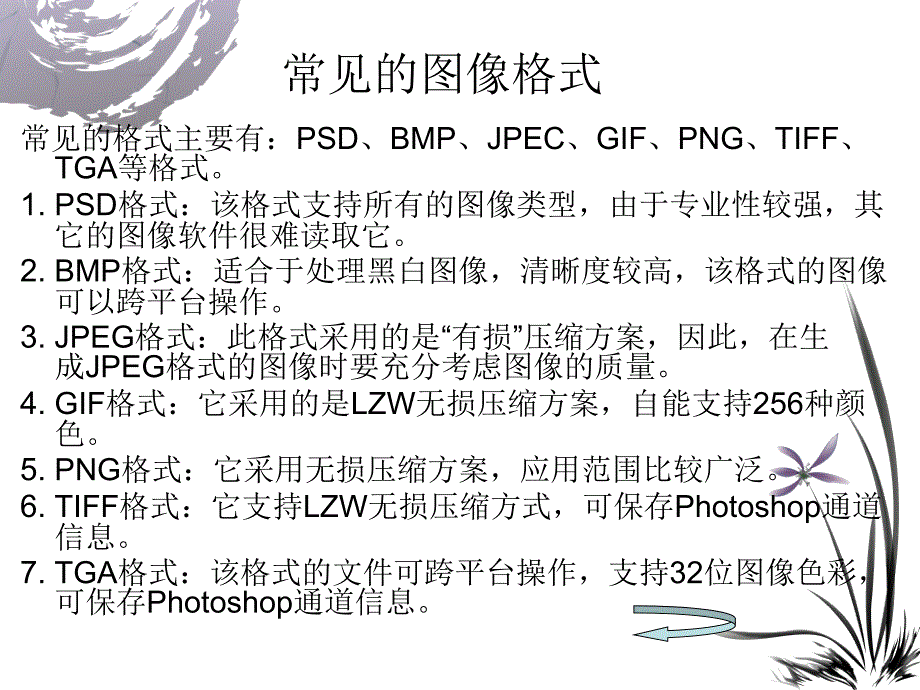 Photoshop与图像技术_第4页