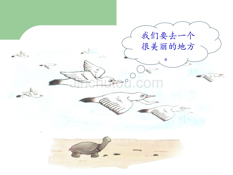 《想飞的乌龟》【教学PPT课件】_第2页