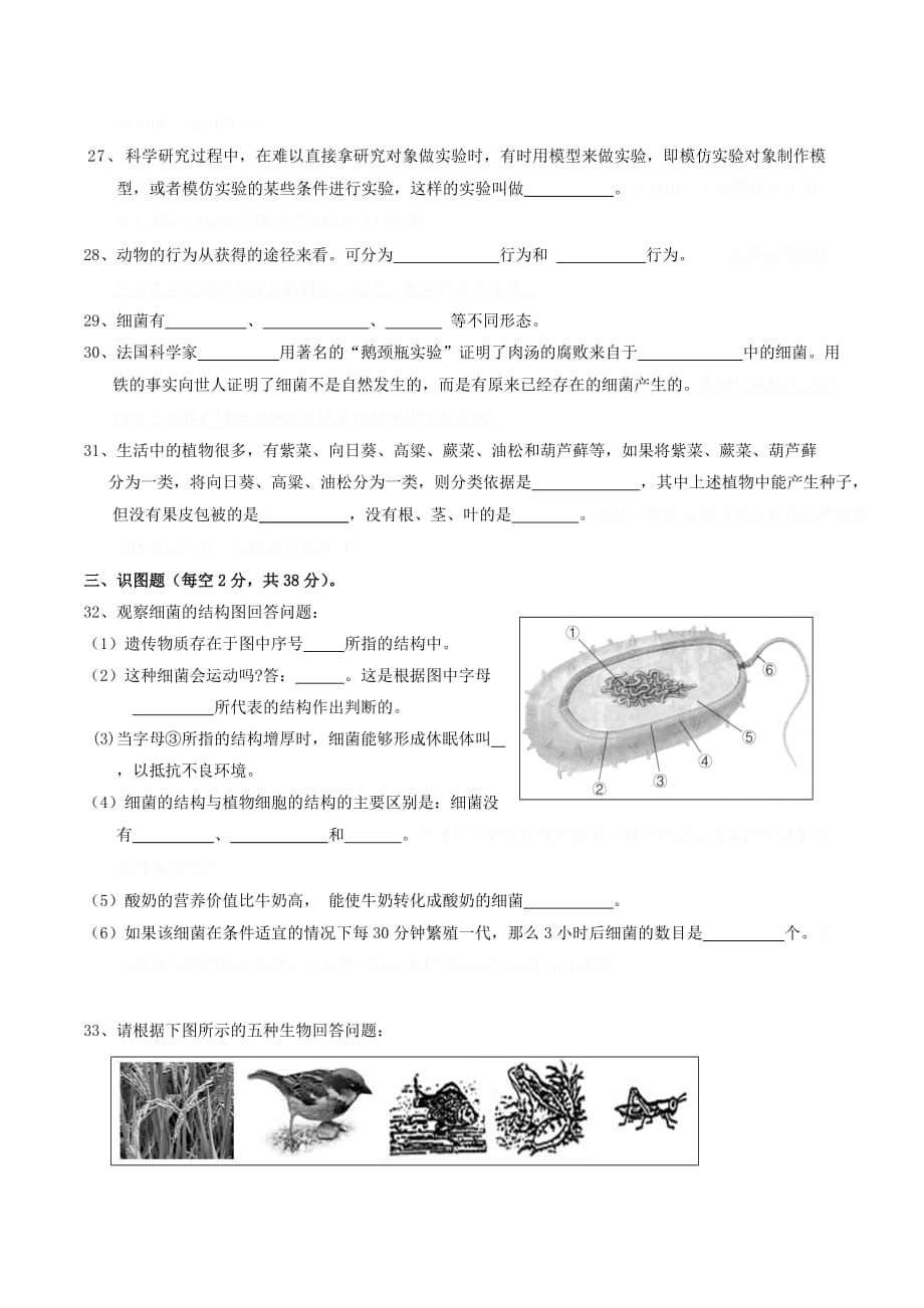 秋双河中学八年级生物半期检测试卷及答案.doc_第3页