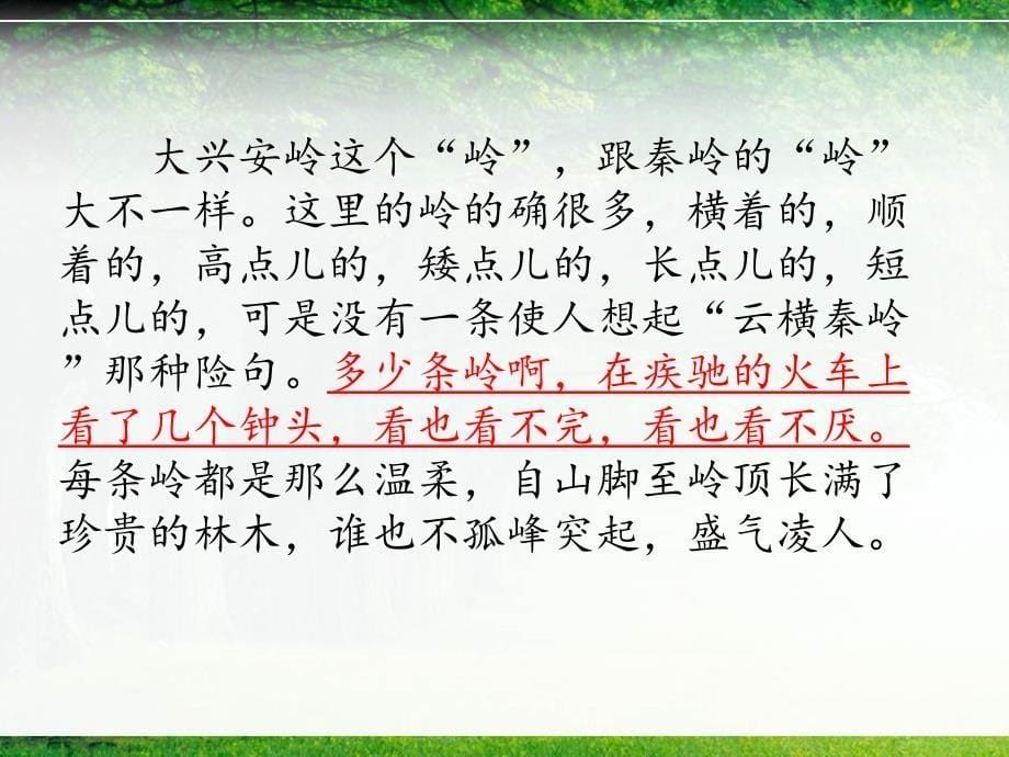 《林海》教学PPT课件_第5页