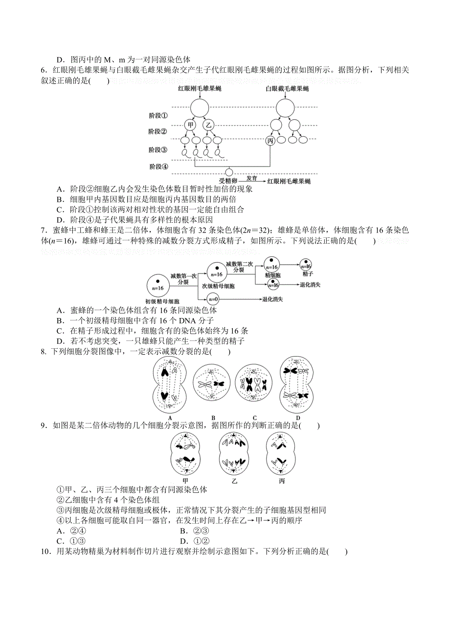 河北高三暑假生物：周四减数分裂题目（8.2）.doc_第2页