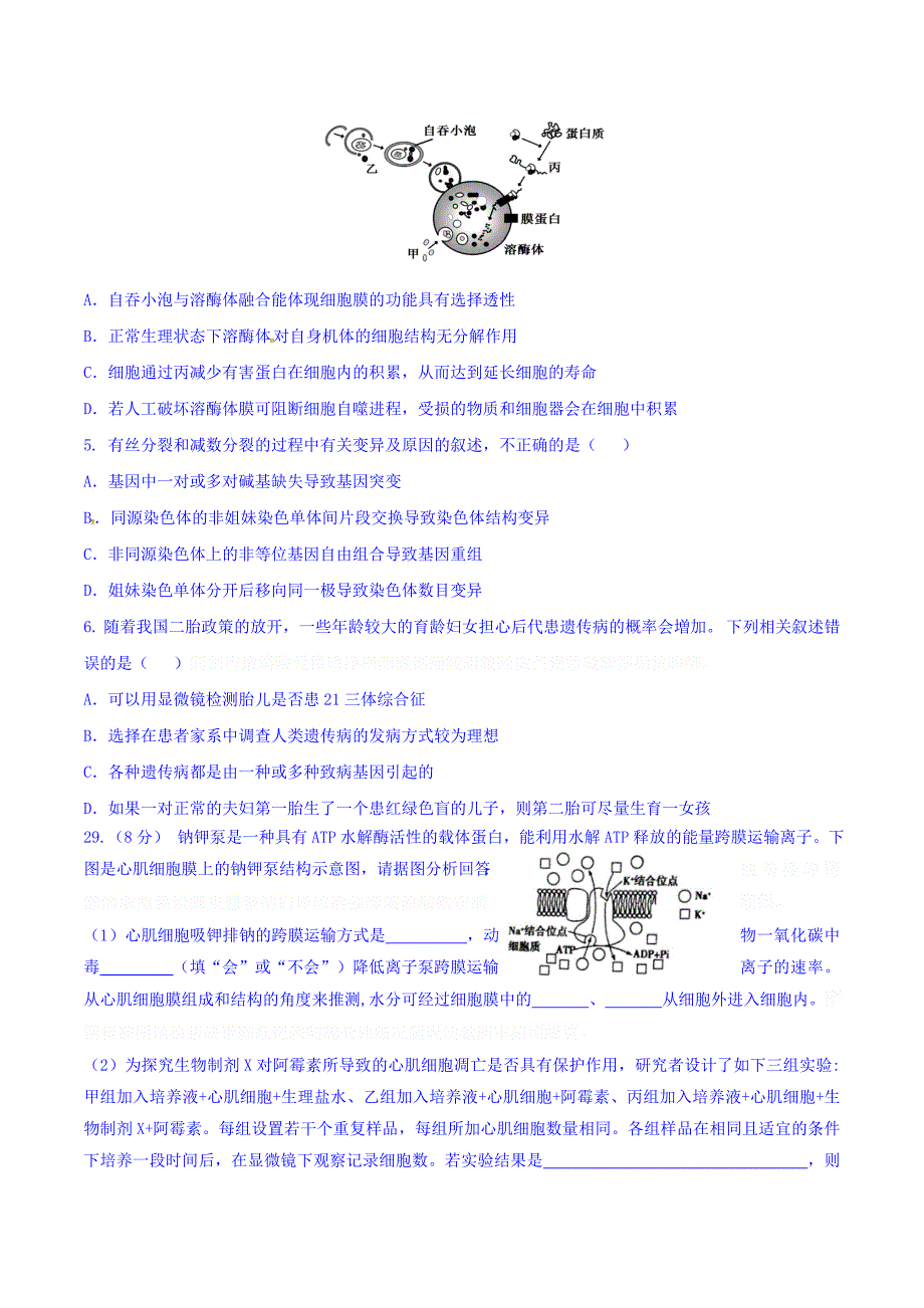 重庆市高三12月月考理综-生物试题 Word版含答案.doc_第2页