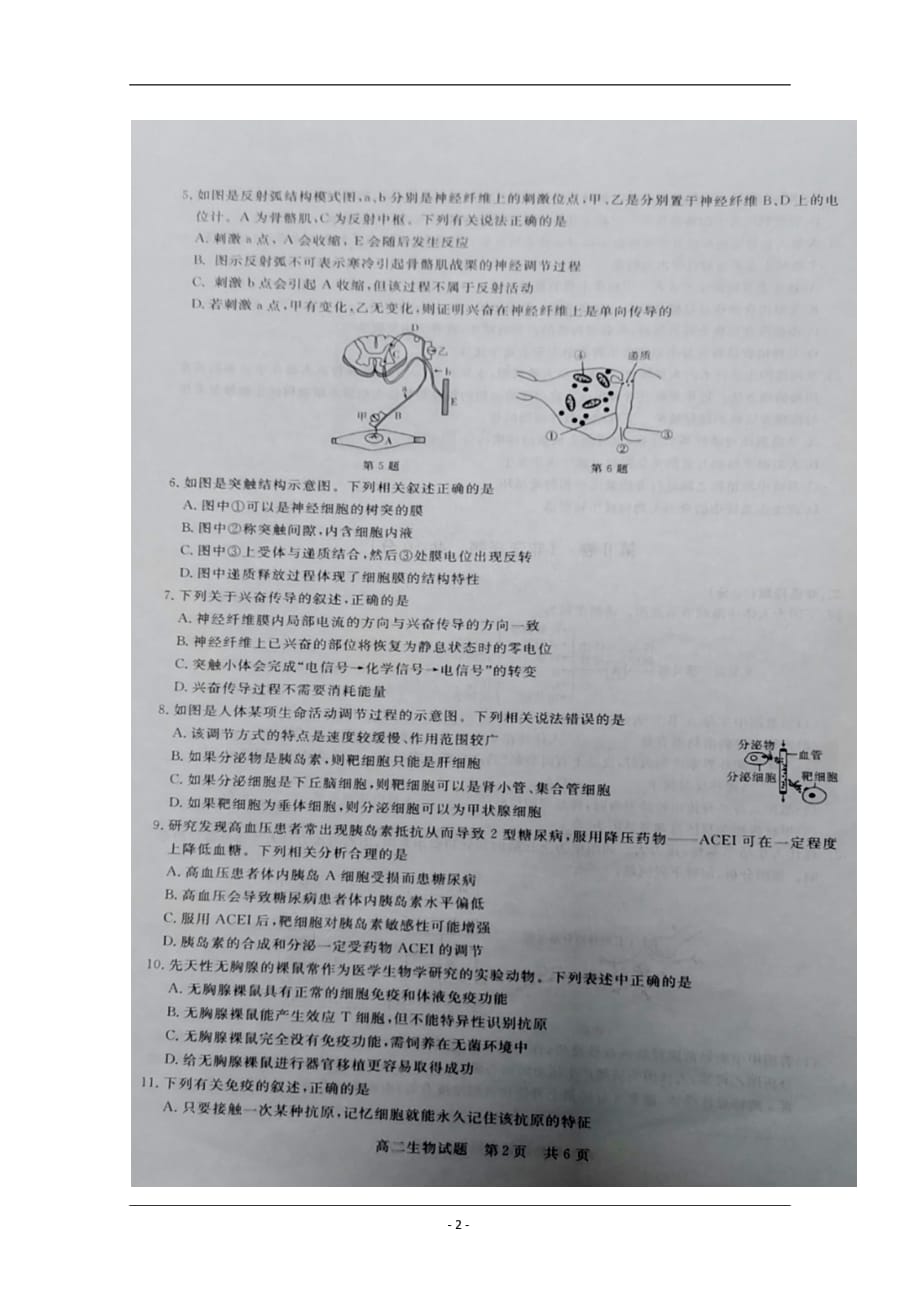 湖北省黄石市2019-2020学年高二上学期期末考试生物试题 扫描版含答案_第2页